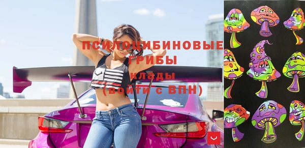 крисы Липки