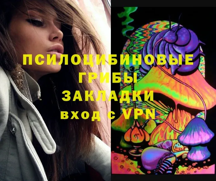 Псилоцибиновые грибы Psilocybe  купить  сайты  Йошкар-Ола 