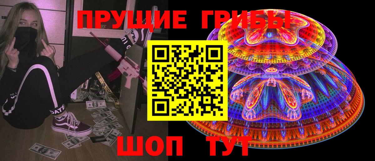 Псилоцибиновые грибы Psilocybe  Йошкар-Ола 