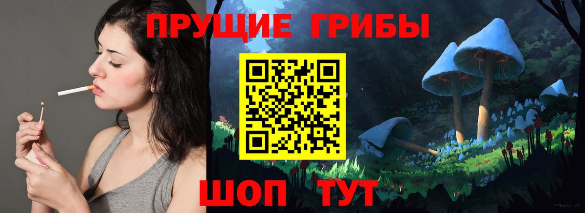 Галлюциногенные грибы прущие грибы Йошкар-Ола